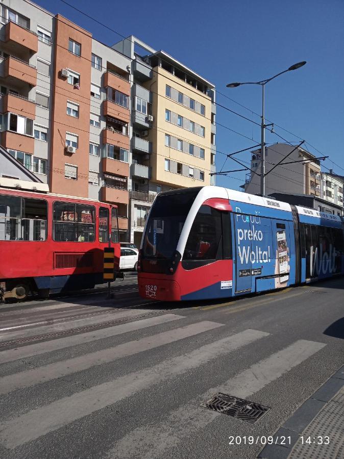 Vlado Apartment Vs Beograd Eksteriør billede